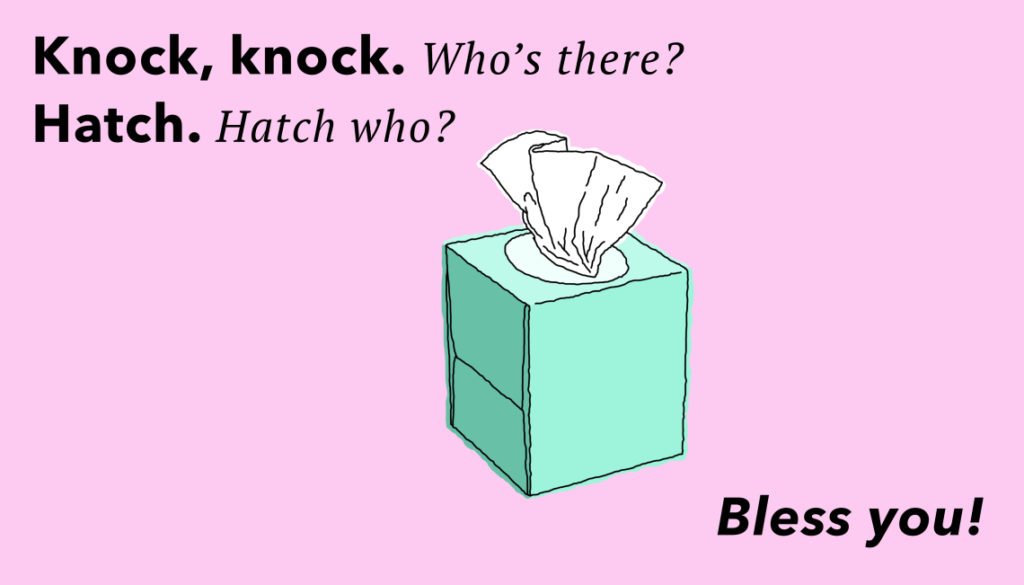 Knock knock joke Knockknock2 Hatchoo 1024x585